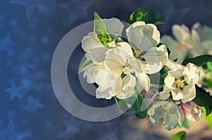 spring. springtime. springtide. prime