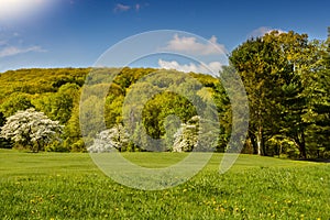 Spring at Squantz Pond Connecticut