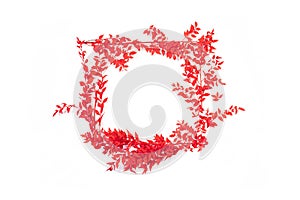 Frame with red leaves on white background. Flat lay, top view