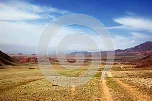 Spring steppe in Kazakhstan