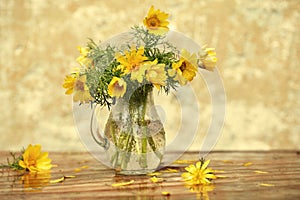 Spring still life. A bouquet of yellow Adonis flowers in a glass jar after the rain, all in drops of water. Copy space, selective