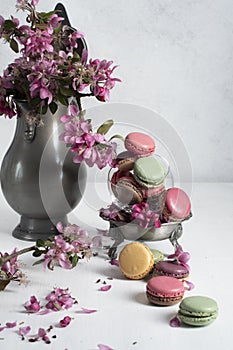spring still life with colored macaroons and pink apple tree flowers in a pewter