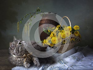Spring still life with dandelions and cute kitty