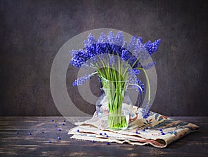 Spring still life with muscari