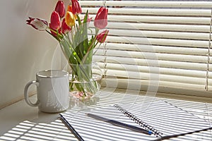 Spring still life scene. Cup of coffee, opened notebook, vase with tulips on windowsill