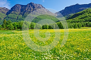Spring in Straumfjord