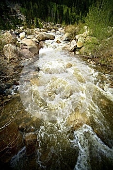 Spring Stream