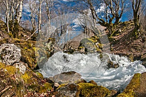 Spring stream in early spring in the Balkans