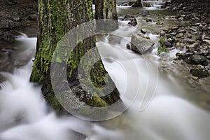 Spring stream flow in Yosemite Valley