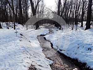 Spring stream in the forest park in the morning