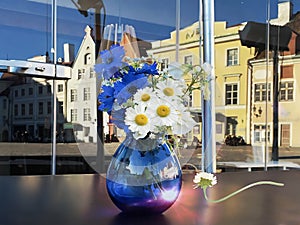 spring Street cafe table on top  blue glass vase with wild blue white cornflowers and daisies  flowers , national Estonia republi