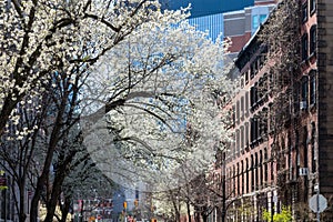 Spring street scene in the East Village of New York City photo