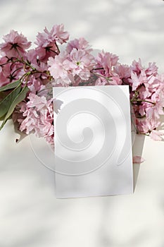 Spring styled stock photo. Blossoming pink Japanese cherry tree, sakura branch. Vertical feminine ww.edding blank photo