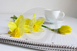 Spring styled stock photo. Still life with daffodil flowers, Narcissus, note book and cup of coffee. Blurred background