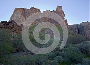 Spring at Succor Creek