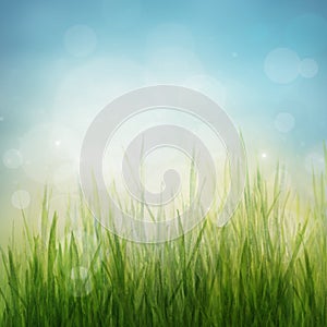 Spring or summer abstract season nature background