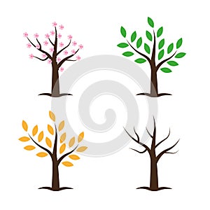 Tree collection in four seasons. Spring Summer Autumn Winter. Vector illustration isolated on white background