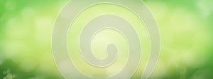 Spring and summer background - abstract banner - green blurred bokeh lights