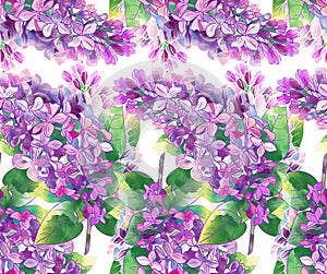 Lilac pattern