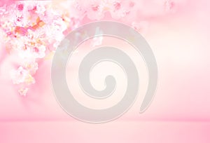 Spring summer blurred light pink background with shadow of the flowers and leaves of blossom tree on a wall. Abstract Spring