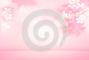 Spring summer blurred light pink background with shadow of the tree leaves and flowers on a wall. Abstract Spring Summer scene for