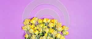 Spring Summer concept with yellow roes flowers on purple table background top view free space copy space romantic