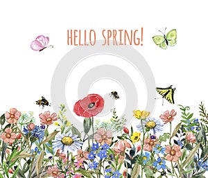 Spring or summer flowers border,isolated on white background. Watercolor floral meadow illustration