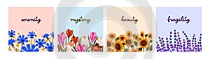 Spring and summer flowers, square card designs set. Floral backgrounds, blossomed garden nature. Field and meadow blooms