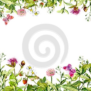 Spring, summer garden: flowers, grass, herbs, butterflies. Floral pattern. Watercolor