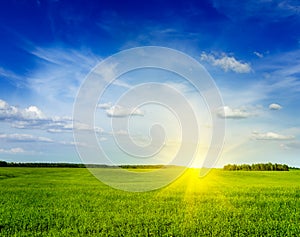 Spring summer green field scenery landscape