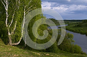 Spring-and- summer landscape