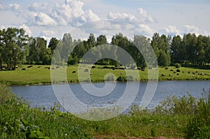 Spring summer landscape blue sky clouds