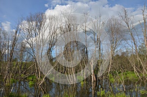 Spring summer landscape blue sky clouds