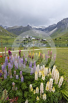 Spring and summer landscape, Tignes, Vanoise national park, France