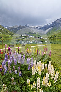 Spring and summer landscape, Tignes, Vanoise national park, France