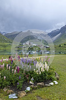 Spring and summer landscape, Tignes, Vanoise national park, France