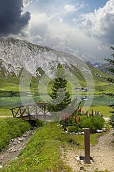 Spring and summer landscape, Tignes, Vanoise national park, France