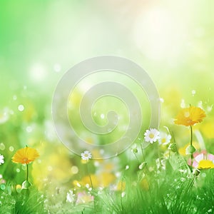 Spring summer nature season background