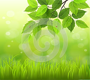 Spring or summer season abstract nature background