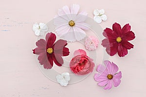 Spring or summer styled stock photo. Feminine composition with pink rose, cosmos and geranium flowers on grunge pink