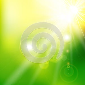 Spring summer sunlight flare abstract green color background. Vector