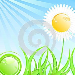 Spring or summer sunny illustration