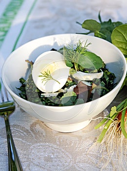 Spring-summer weed herbs salad for a picnic