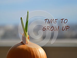 The spring sun shines through a window on a sprouted onion with fresh green leaves. Inscription Time to Grow Up.