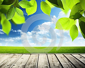 Spring sunny background