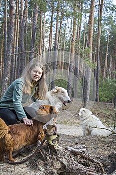 In the spring, on a sunny day, a girl with a ginger dog is playing on a log in the forest, and a Russian greyhound is standing