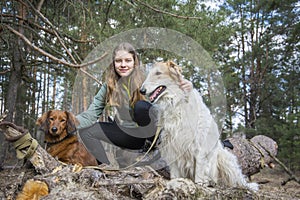 In the spring, on a sunny day, a girl with a ginger dog is playing on a log in the forest, and a Russian greyhound is standing