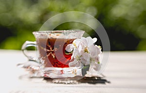 Spring sunny garden, bright yellow dandelions and a cup of hot tea