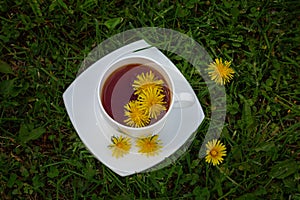 Spring sunny green garden, bright yellow dandelions and a cup of hot herbal tea on the grass