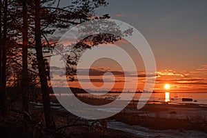 spring sunset on the coast of the gulf of finland